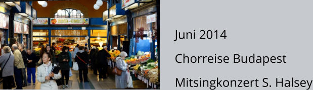 Juni 2014 Chorreise Budapest Mitsingkonzert S. Halsey